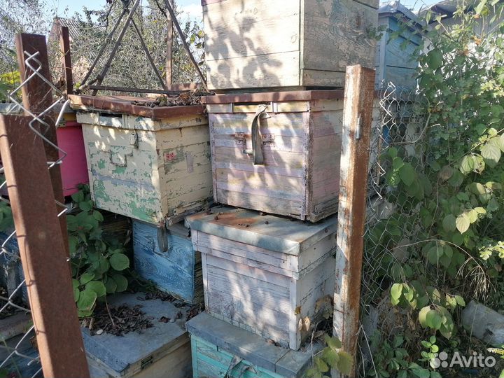 Ульи б,у Нуклеусы новые