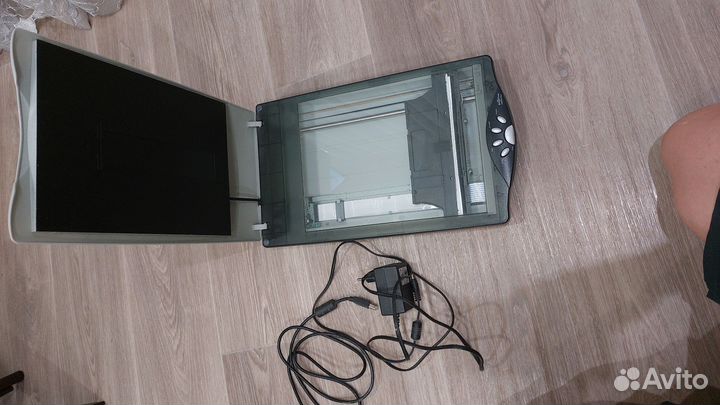 Сканер Bear Paw 2448 TA Plus