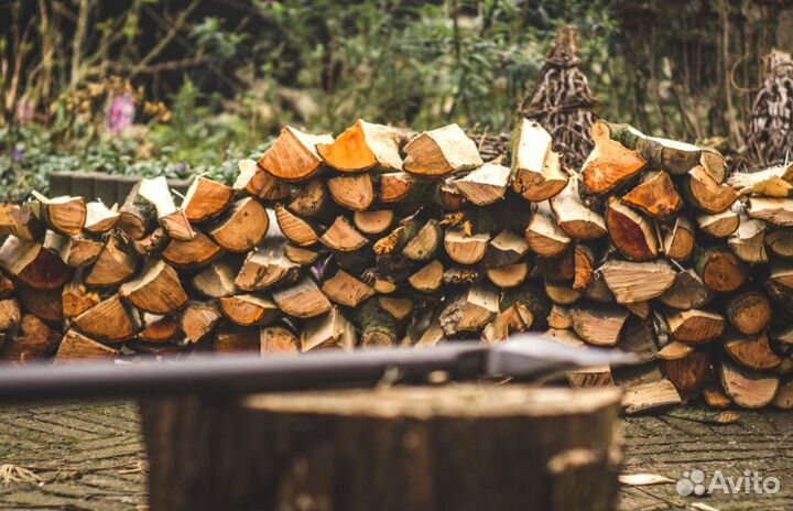 Береза для дров