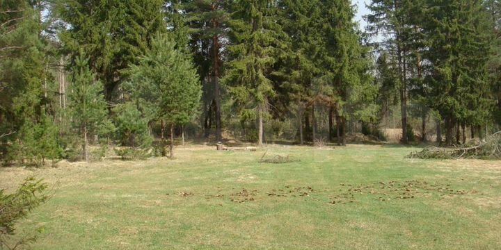 Участок 11,2 га (СНТ, ДНП)