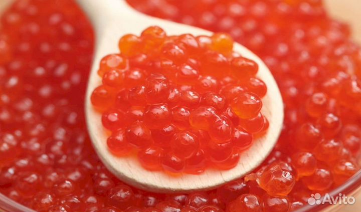 Красная икра оптом