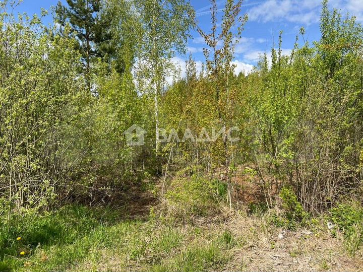 Участок 6 сот. (СНТ, ДНП)