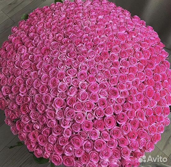 101 роза 51 роза 25 15 Цветы Доставка