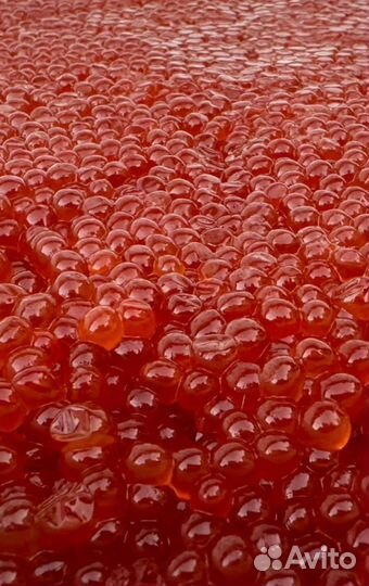 Икра красная 2023