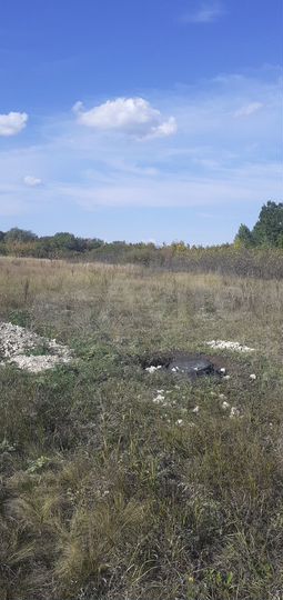 Участок 25 сот. (ИЖС)