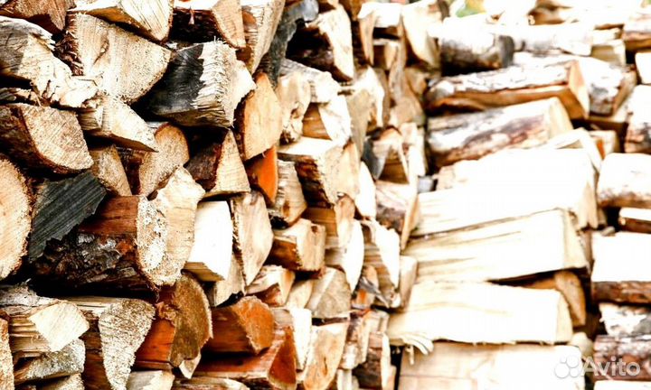 Дрова береза от производителя
