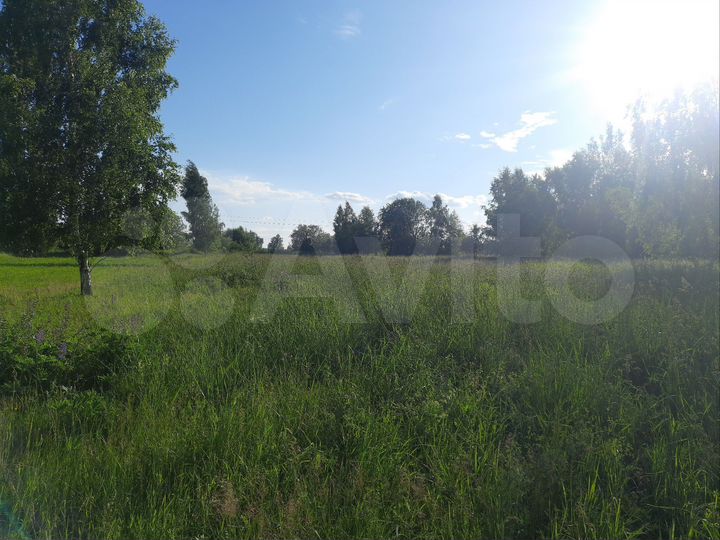 Участок 78 сот. (ИЖС)