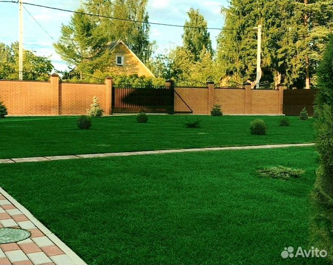 Рулонный газон