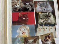 Календарики животные 1990х годов