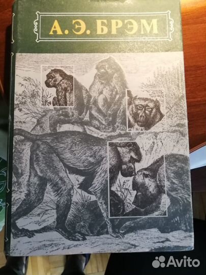 Книги из домашней библиотеки