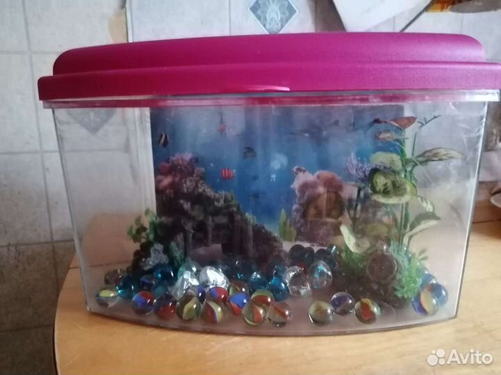 Миниаквариум