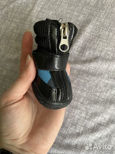 Ботиночки для собаки