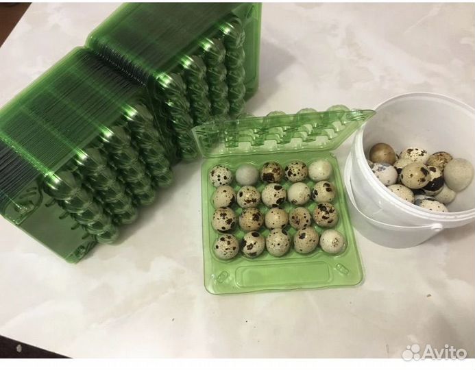Яйца перепелиные фермерские