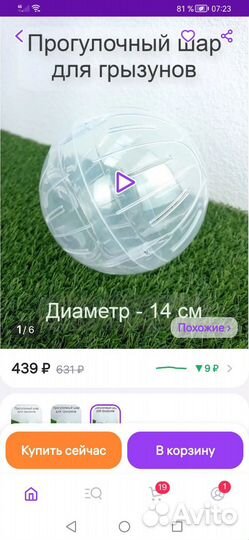 Шар для грызунов