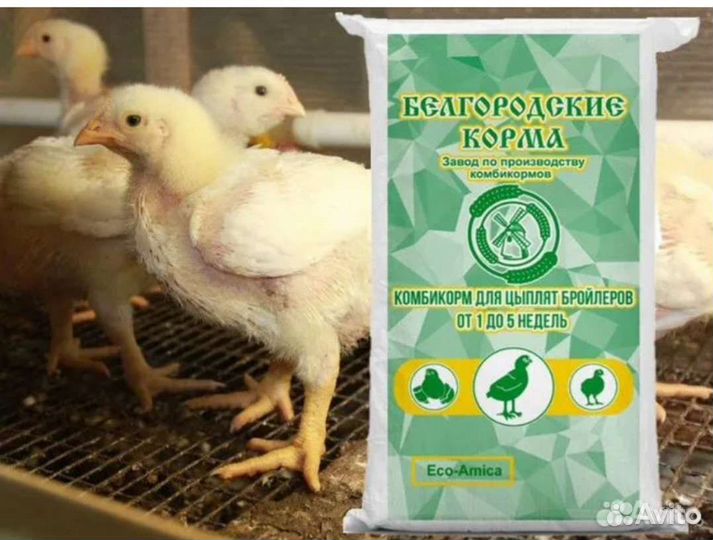Белгородские корма, комбикорм (старт, рост, финиш)