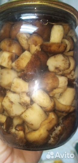 Грибы маринованные