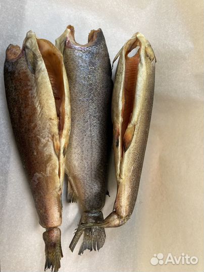 Форель холодного копчения