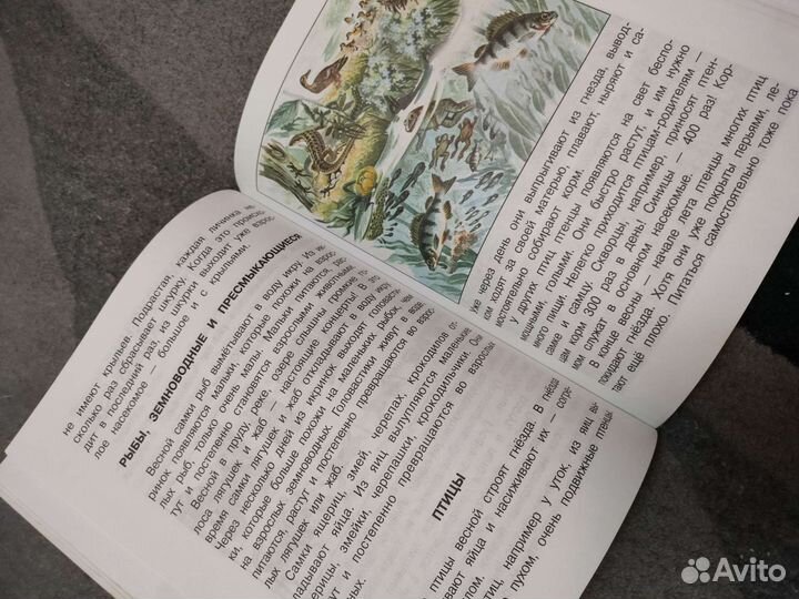 Мир вокруг нас учебник 3 класс