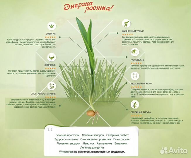 Сок из проростков пшеницы, Витграсс