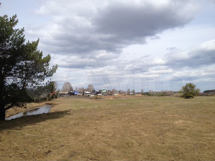 Участок 31 сот. (СНТ, ДНП)