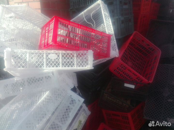 Ящики пластиковые для овощей и фруктов