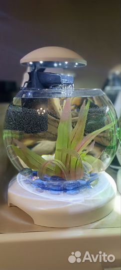 Аквариум круглый tetra cascade globe 6,8 л