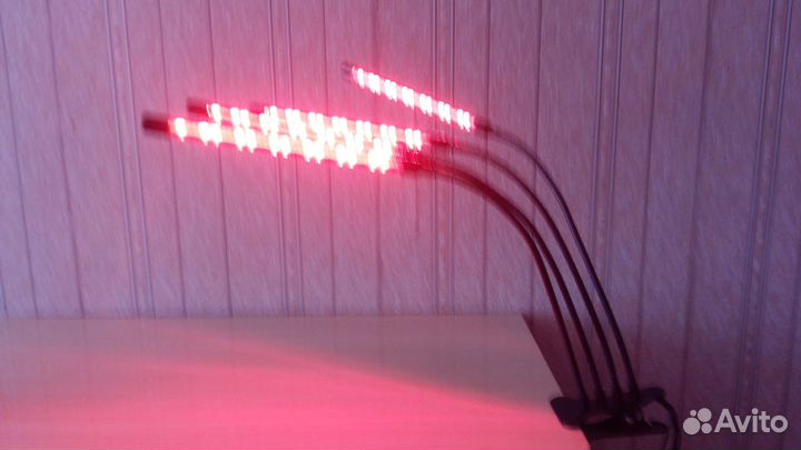 Фитолампа для растений, фитосветильник для рассады