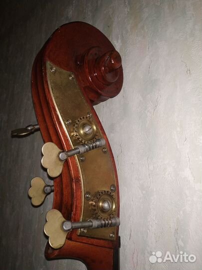 Контрабас Музима