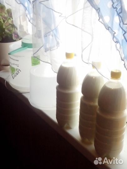 Молоко козье