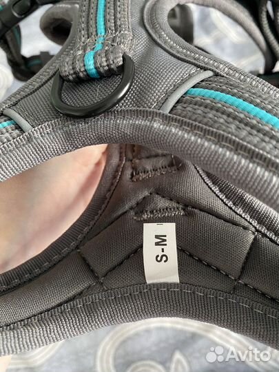 Шлейка для собаки S-M trixie и дождевик petmax