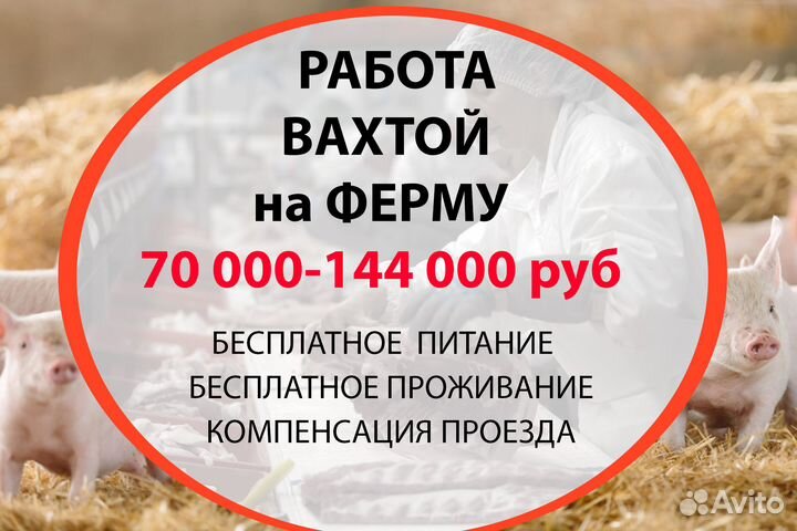 Вахта на ферме, проживание,питание,проезд