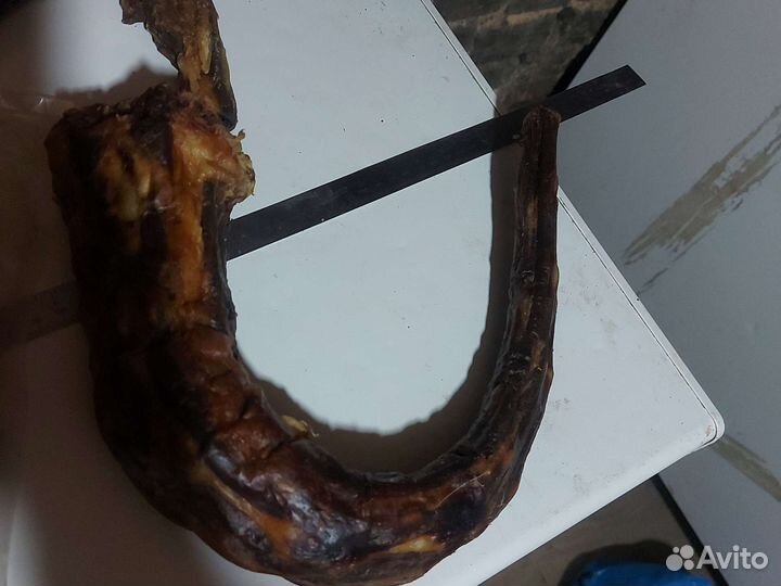 Корм для собак