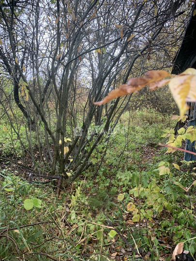 Дом 34,6 м² на участке 9,8 сот.