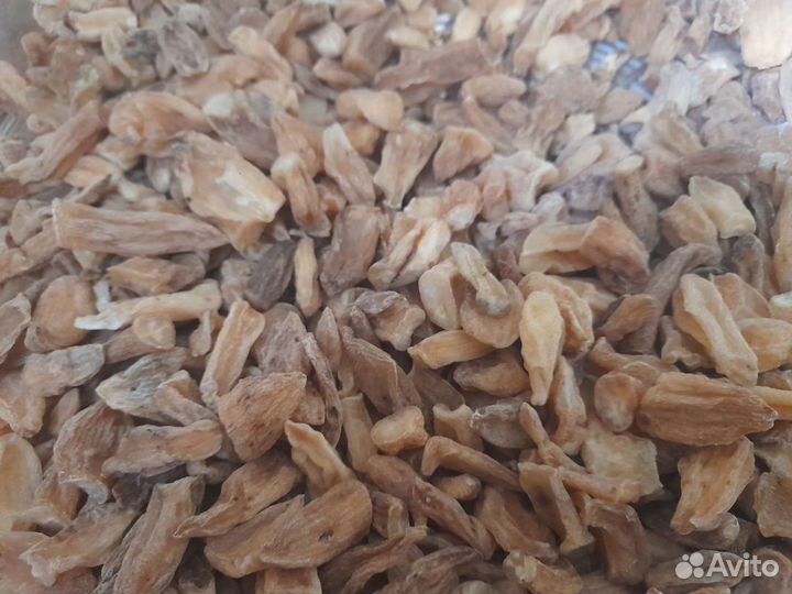 Корень ятрышника в крыму повышает иммунитет и.т.д