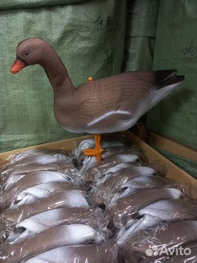 Надежный гусь для охотника (белолоб) Оптом