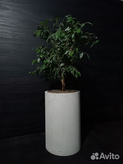 Кашпо, Вазоны, Горшки под заказ из бетона