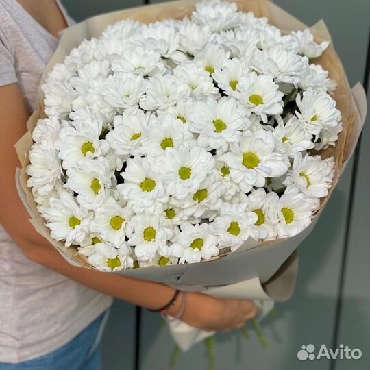 Букет из Хризантем. Цветы с доставкой