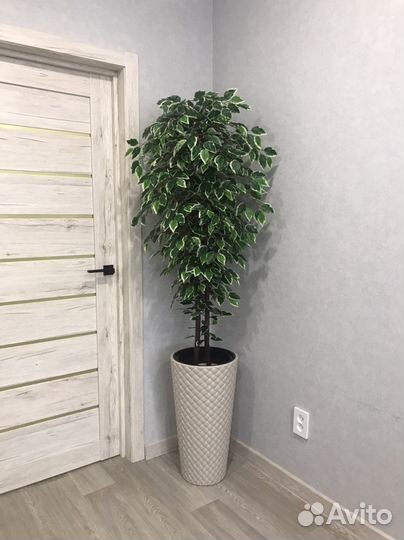 Фикус бенджамина искусственный