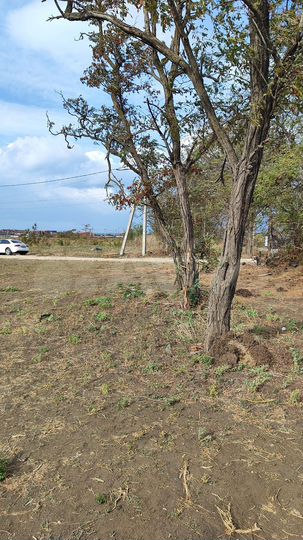 Участок 7,7 сот. (ИЖС)