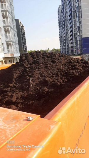 Торф низинный