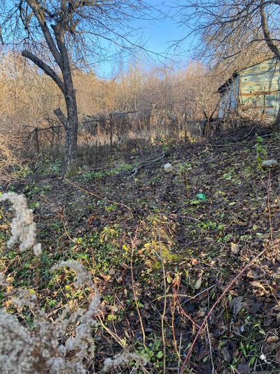 Участок 5,5 сот. (СНТ, ДНП)