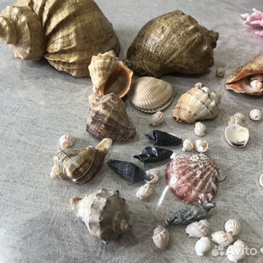 Декор для аквариума