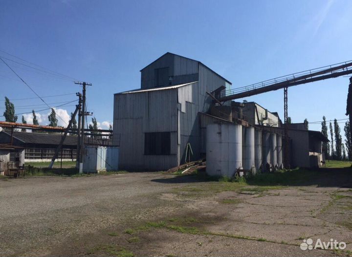 Маслозавод 55 т/сутки