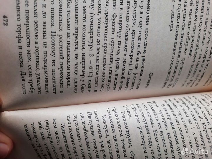 Растения в интерьере