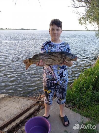 Рыбалка и отдых