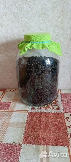 Ирга сушеная