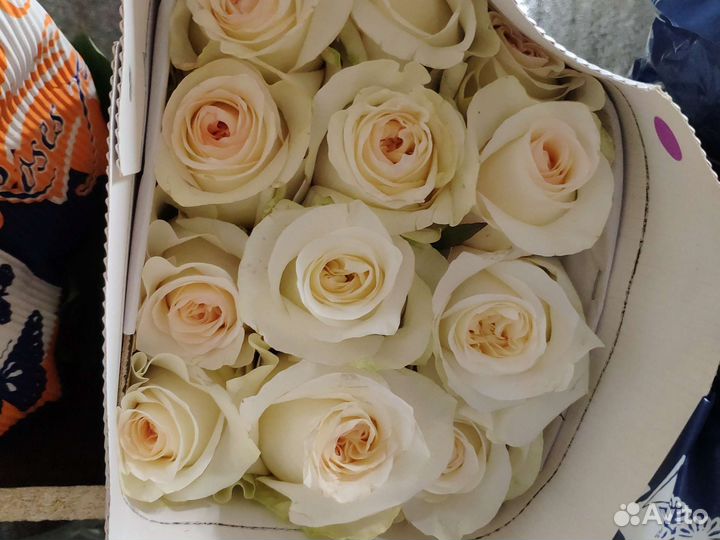 Цветы, Розы Эквадор. Оптом от