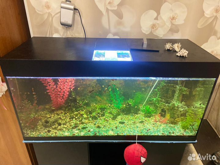 Аквариум с тумбой и рыбками