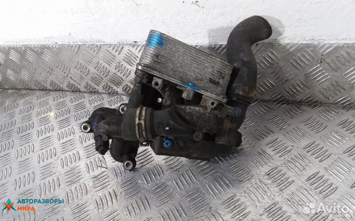 Корпус масляного фильтра дизельный Nissan X-Trail