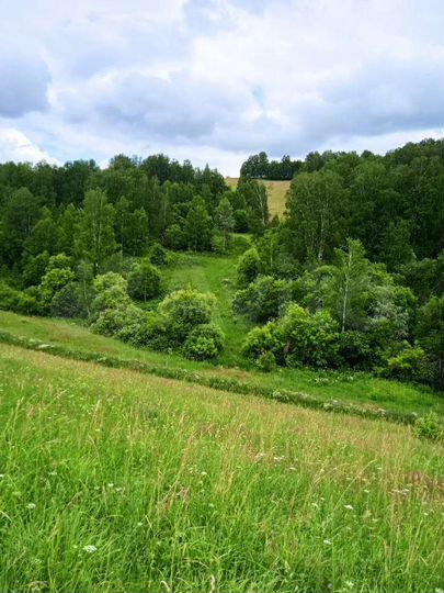 Участок 24 га (СНТ, ДНП)